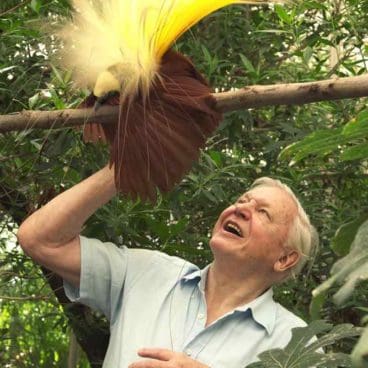 Attenborough