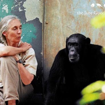 Jane Goodall Institute