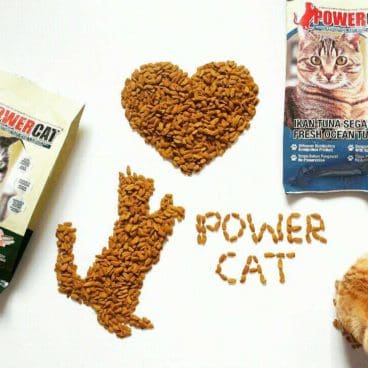 Powercat