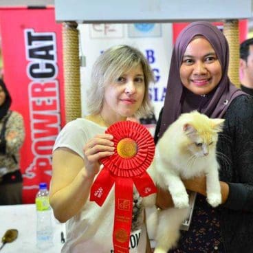 EVENT Powercat