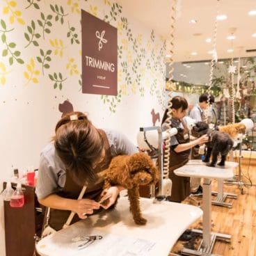 Grooming salon